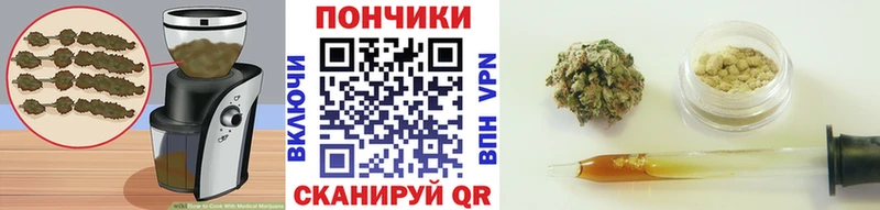 Canna-Cookies конопля  Купить закладки  Советская Гавань 