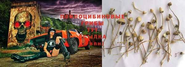 apvp Армянск