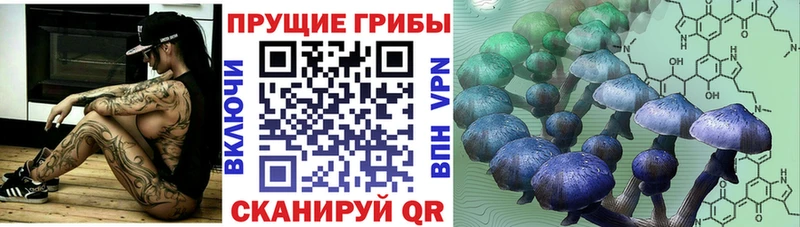 Галлюциногенные грибы прущие грибы  Купить закладки  Советская Гавань 