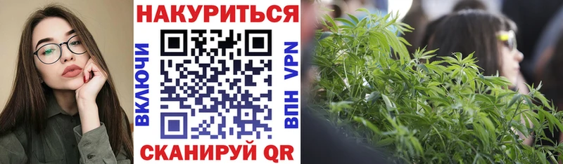 Конопля сатива Советская Гавань